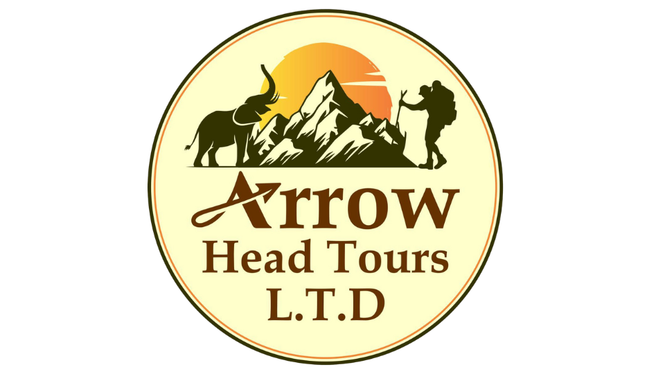 Arrow Head Tours