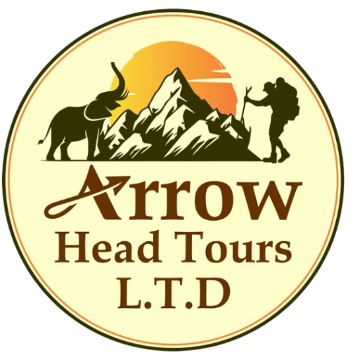 Arrow Head Tours