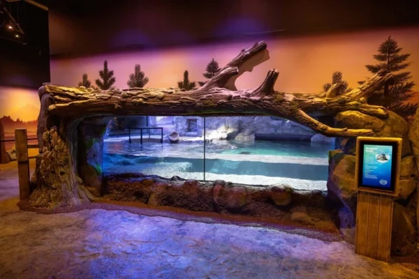 National Sea Life Centre Entrance Ticket