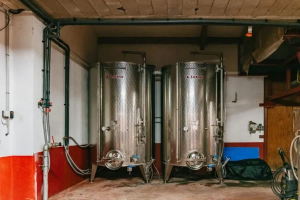 Golden Stones Beaujolais Wine Tasting Tour